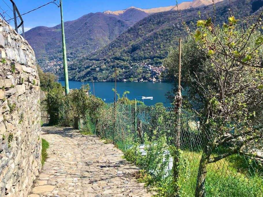 Romantic Home Stone With Amazing View Lake Of Como And Oleandra Laglio Dış mekan fotoğraf