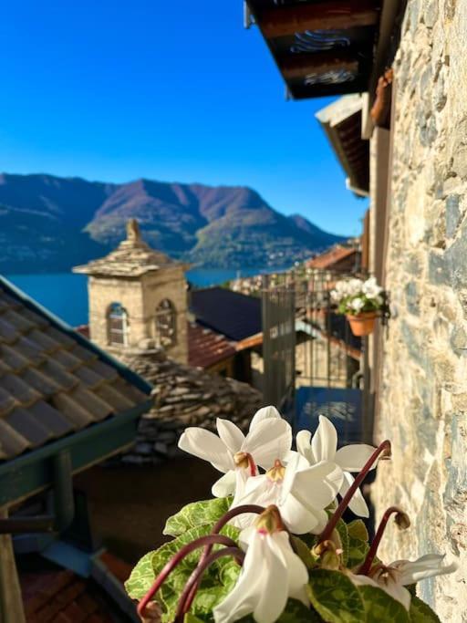 Romantic Home Stone With Amazing View Lake Of Como And Oleandra Laglio Dış mekan fotoğraf