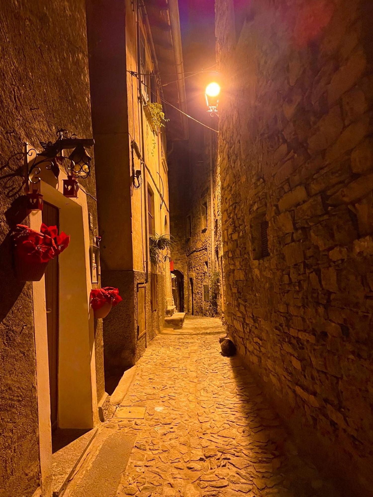 Romantic Home Stone With Amazing View Lake Of Como And Oleandra Laglio Dış mekan fotoğraf